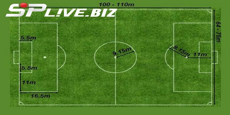 Cùng SPlive tìm hiểu về cách đá sân 7 người