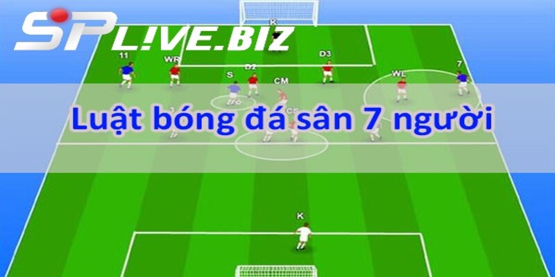 Tìm hiểu luật bóng đá sân 7 cùng SPlive