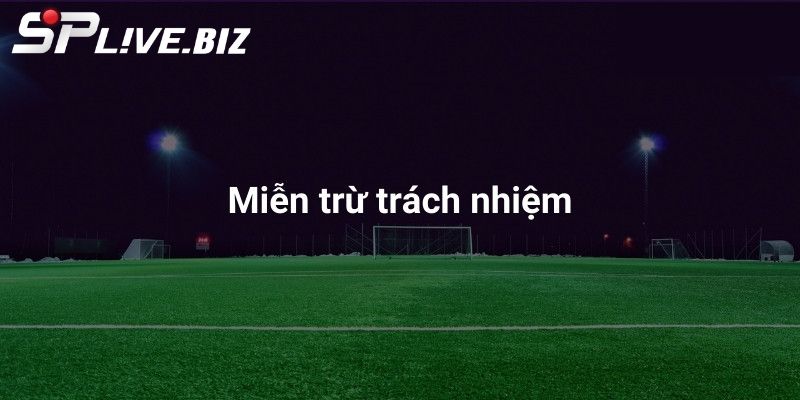 Trách nhiệm về thiệt hại xảy ra trên website