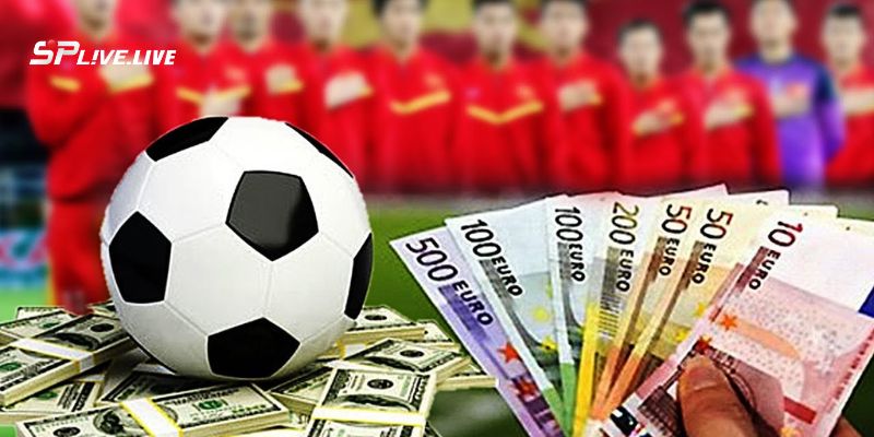 Chuyên mục lịch thi đấu là gì? 