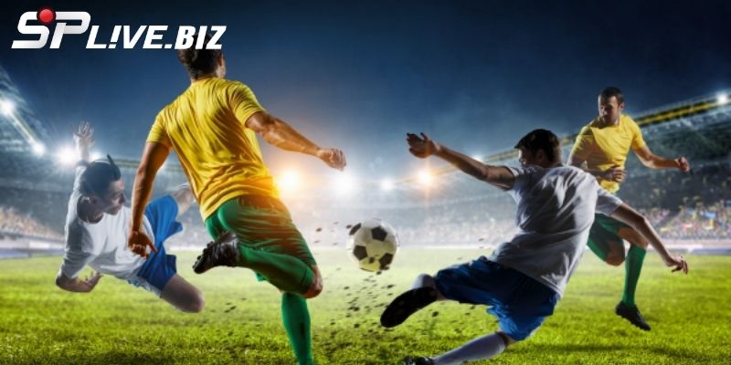 Chất lượng video video full hd sóng động