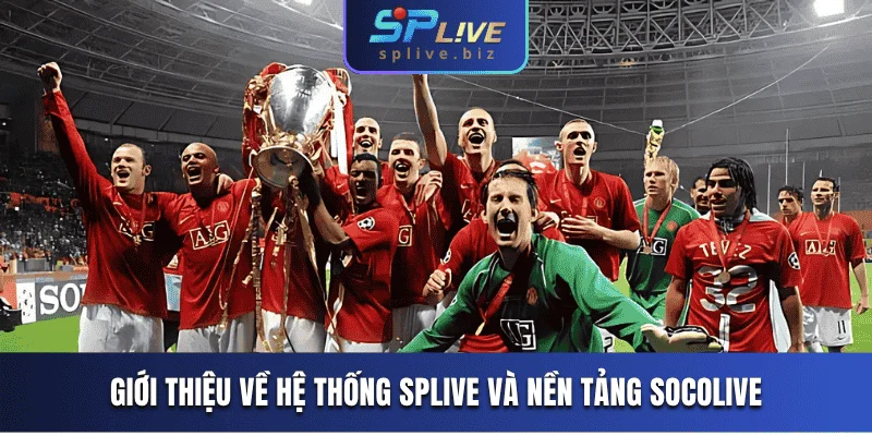 Giới thiệu tổng quan về nền tảng Socolive