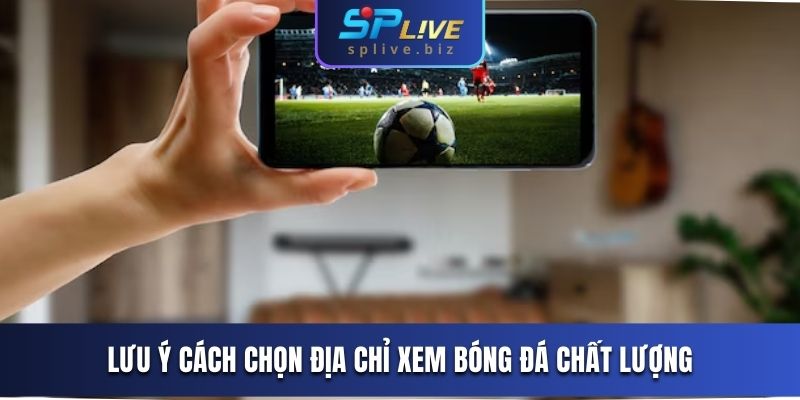 Lưu ý cách chọn địa chỉ xem bóng đá chất lượng