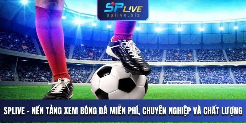 SPLIVE - Nền tảng theo dõi bóng đá miễn phí, chuyên nghiệp và chất lượng