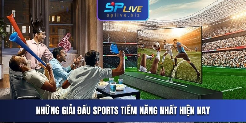 Những giải đấu sports tiềm năng nhất