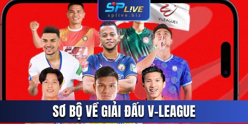 Sơ bộ về giải đấu V-League