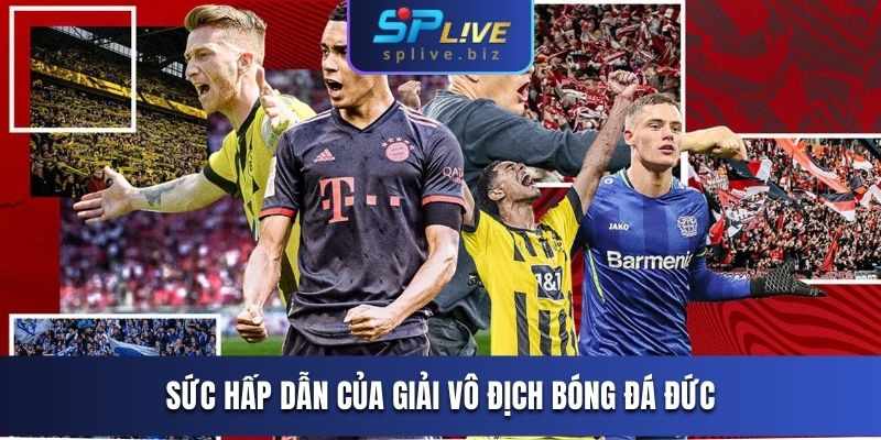 Sức hấp dẫn của giải vô địch bóng đá Đức